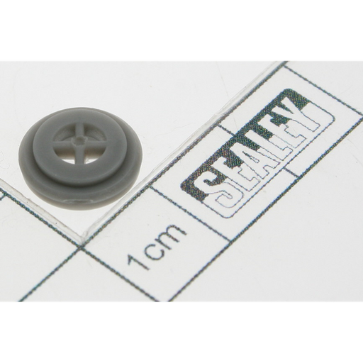 Sealey Cover of check valve