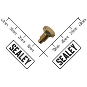 Sealey Positioning Screw