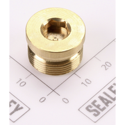 Sealey Check-Way Valve Nut