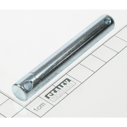 Sealey Pin