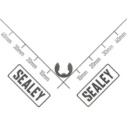 Sealey Retainer ring