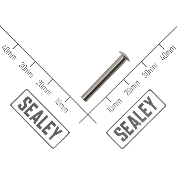Sealey Trigger Pin