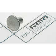 Sealey Rivet (so)