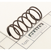 Sealey Spring