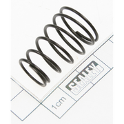 Sealey Front spring