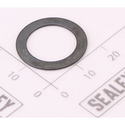Sealey Reset Spring Washer