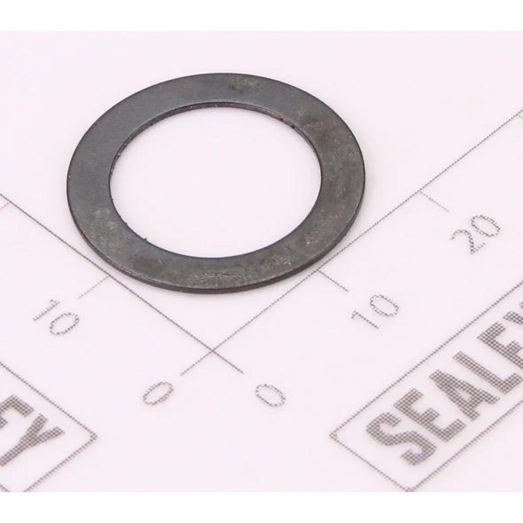 Sealey Reset Spring Washer