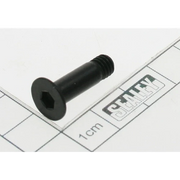 Sealey Screw