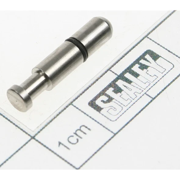 Sealey Valve stem