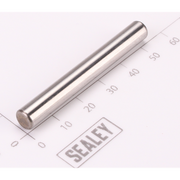 Sealey Hammer Pin