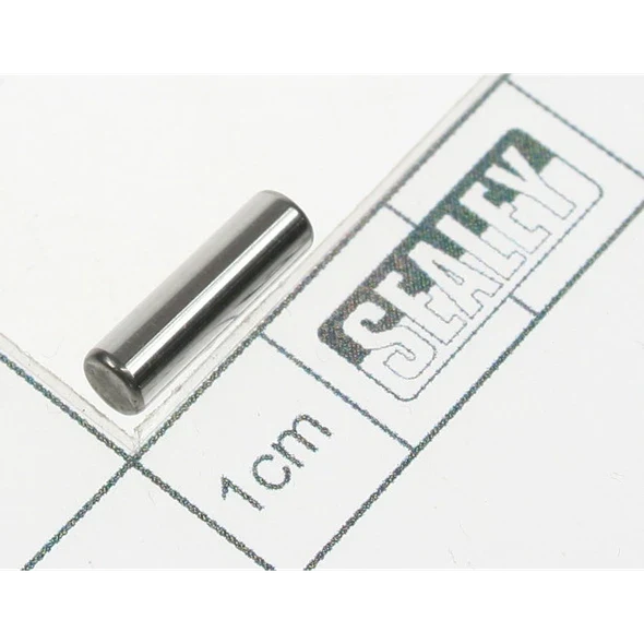 Sealey Planet pin