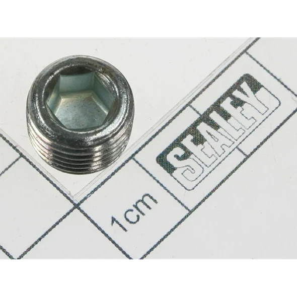 Sealey Switch plug
