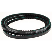 Sealey Belt