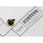 Sealey Screw