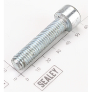 Sealey Socket Head Cap Screw M10x45 Zinc