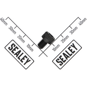 Sealey Socket head cap screw zinc m6x8