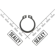 Sealey Retaining screw