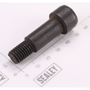 Sealey Damping Screw