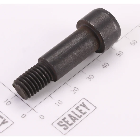 Sealey Damping Screw