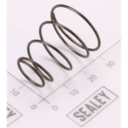 Sealey Damping Spring for Small Gear