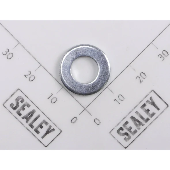 Sealey Washer