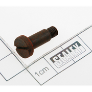 Sealey Screw