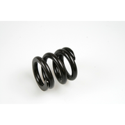Sealey Compressed spring
