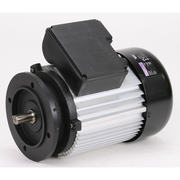 Sealey Motor