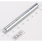 Sealey Pin
