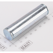 Sealey Pin