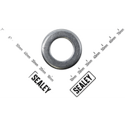 Sealey Washer