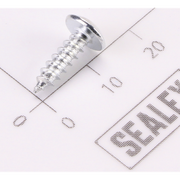 Sealey Screw