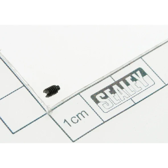 Sealey Screw