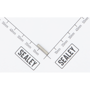 Sealey Pin