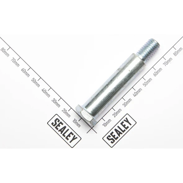 Sealey Tightening Bolt for Latch Pawl