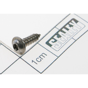 Sealey Screw