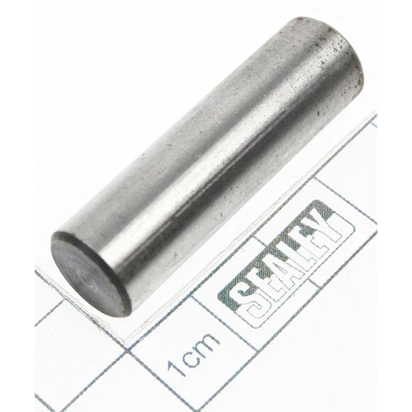 Sealey Pin