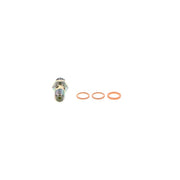 Bosch Fuel Pump Repair Kit