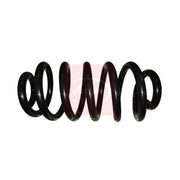 Apec Rear Suspension Coil Spring ACS1837