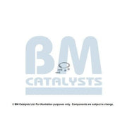 BM Catalysts Fitting Kit FK11166B FK11166B