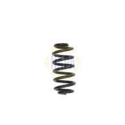 NAPA 2 x Suspension Springs fits Audi A6 C6 2004-2011 2.0 2.4 2.7 2.8 3.0 3.2