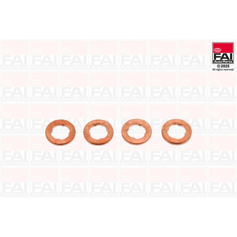 FAI Injector Nozzle Seal Kit