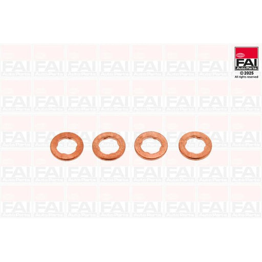 FAI Injector Nozzle Seal Kit IS012