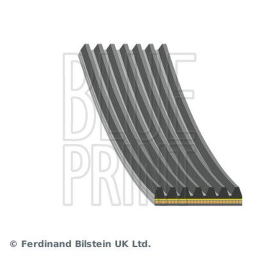 Blue Print Multi V-Ribbed Drive Belt fits Hyundai I30 2020 on 1.6