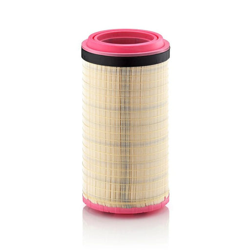 MANN-FILTER Engine Air Filter C 25 900