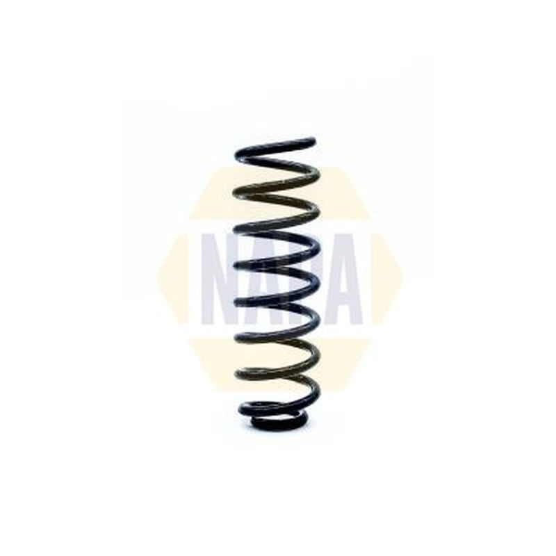 NAPA 2 x Suspension Springs fits Renault Scénic II 2003-2009 1.4 1.5 1.6 1.9 2.0