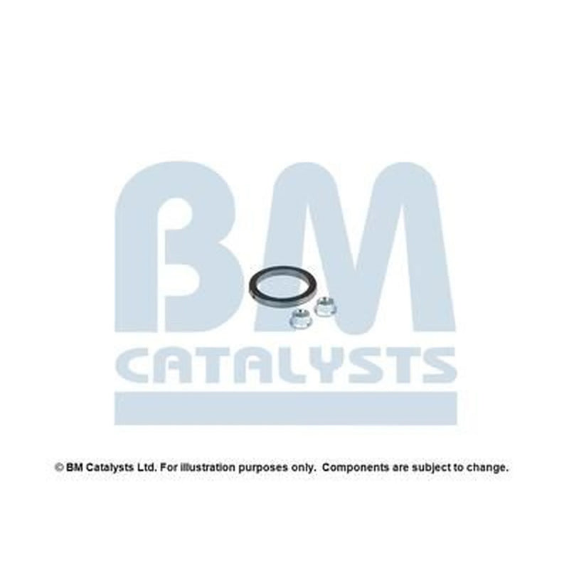BM Catalysts Fitting Kit FK80017B FK80017B