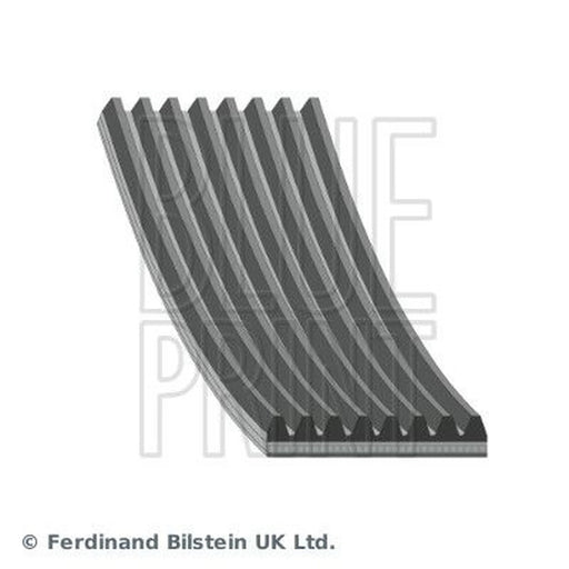 Blue Print Multi V-Ribbed Drive Belt AD08R1295
