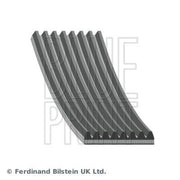 Blue Print Multi V-Ribbed Drive Belt AD08R1310