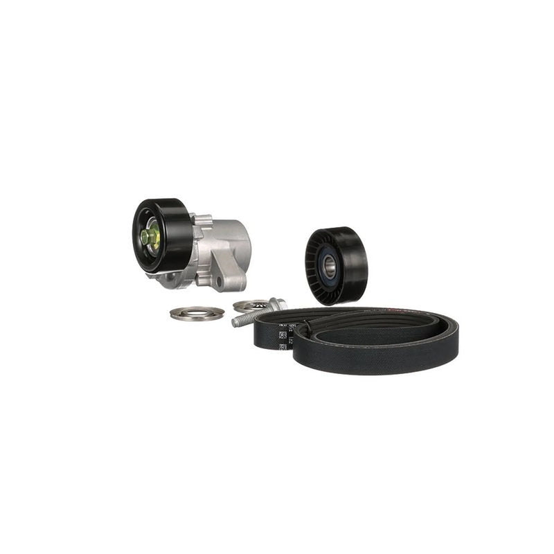 Gates V-Ribbed Belt Set K046PK2625